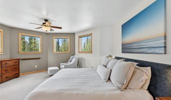 366 Quartzville Rd, Alma, CO 80420