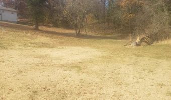 413 Beaver Circle Dr, Anderson, MO 64831