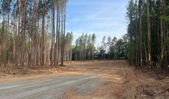 Lot B Hayes Mill Road, Baskerville, VA 23915