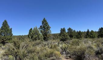 Bufflehead Drive 18, Bonanza, OR 97623