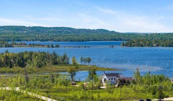 6373 Sunset Blvd, Alanson, MI 49706