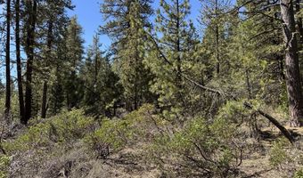 Horned Owl Way 385461, Bonanza, OR 97623
