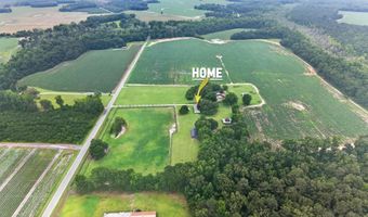 294 Nates Store Rd, Cameron, SC 29030