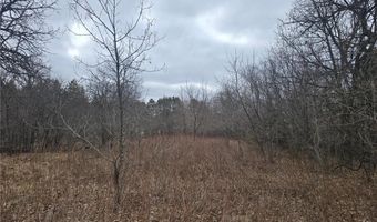 L11 B1 288th Ave Avenue NW, Baldwin Twp., MN 55398