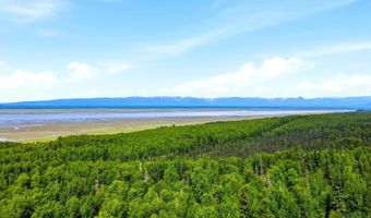 22524 Sambar Loop, Chugiak, AK 99567