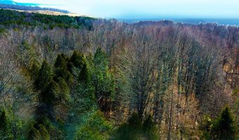 Maxey Road, Arcadia, MI 49613