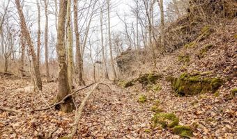 County Road 19-A, Alton, MO 65606