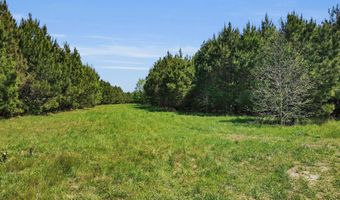 Burton Farm Road, Arapahoe, NC 28510