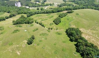 120 Carnes Chapel Rd, Attalla, AL 35954