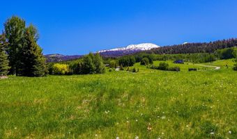 430 YELLOW ROSE Dr, Alta, WY 83414