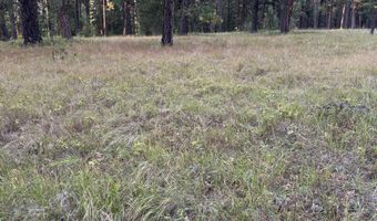 Tbd Harlow Ridge Rd - Cloverland Estates 36, Asotin, WA 99402