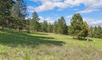 NHN Wild Horse View, Big Arm, MT 59910