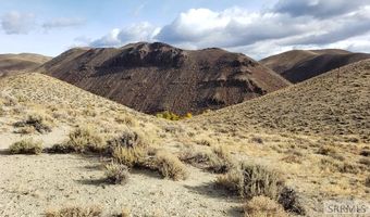 Tbd Morgan Creek Road, Challis, ID 83226