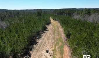 10 Robinsonville Rd, Atmore, AL 36502