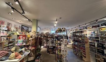 635 E Cooper Ave, Aspen, CO 81611