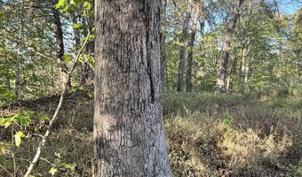 1 Mooretown Hill Rd, Beattyville, KY 41311