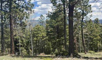 Lot 91ab Pam Coleman Drive, Angel Fire, NM 87710