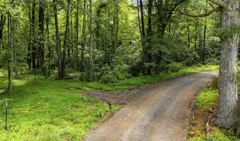 COUNTRY CREEK LN, Amissville, VA 20106