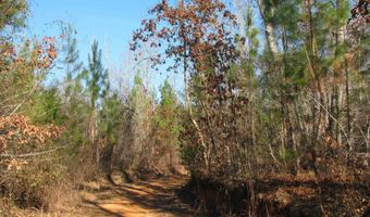 Buckhead Rd, Blair, SC 29015