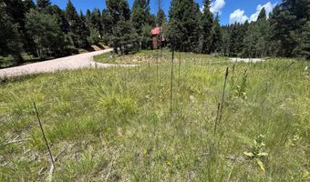 Lot 73 Calle de los Indios, Angel Fire, NM 87710