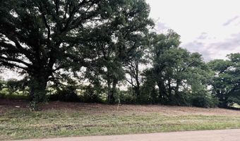 LOT 6 CR 1560, Alba, TX 75410