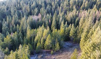 L7 B1 KELSO WOODS Dr, Athol, ID 83801