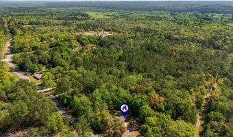 5311 Old River Rd, Baker, FL 32531