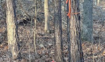 00007 SPRINGHOLLOW Rd Lot 7, Ashville, AL 35953