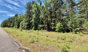 1983 Minton Chapel Rd, Bartow, GA 30413