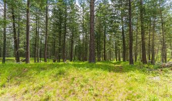 510 Swan Hill Rd, Bigfork, MT 59911