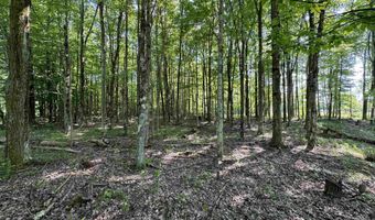 Parcel 5 N Bunner Ridge Road, Fairmont, WV 26554