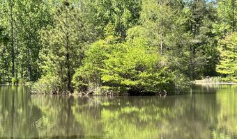 110 Hawks Nest Cv, Brandon, MS 39042