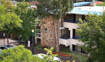 301 E Hyman Avenue Unit # 105 Wks. 2 12 37 #105 (Wks. 2,12,37), Aspen, CO 81611