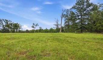115355 115353 CR 2501, Alto, TX 75925