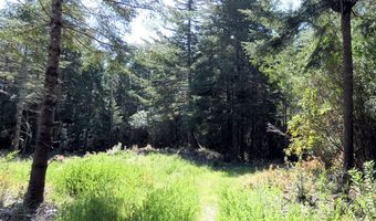 47615 Oregon Coast Hwy, Bandon, OR 97411