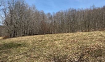 Lot 2 Doig Hollow Road, Andes, NY 13731
