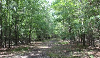 TBD CR 4670, De Kalb, TX 75559