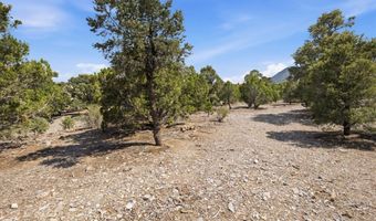 155 Oak Trail Cir, Cold Creek, NV 89124