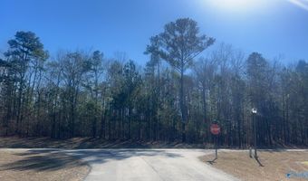 1 3+/- Ac Stoney Point Lndg, Double Springs, AL 35553