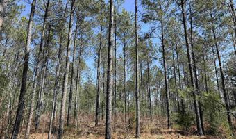 Highway 28, Abbeville, SC 29620