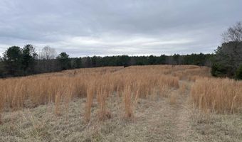 34655 Co Rd 49, Beaverton, AL 35544