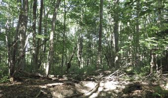 225 Waldo Ave, Belfast, ME 04915