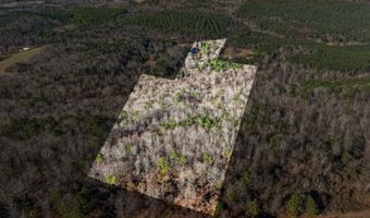 1500 SHOAL CREEK Rd Lot 0, Ashville, AL 35131