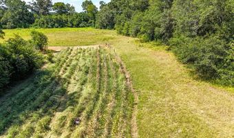 00 Main St, Ashford, AL 36312