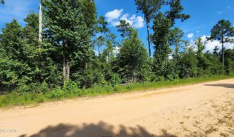 Grand Quiviera Circle lot 11, Alford, FL 32420