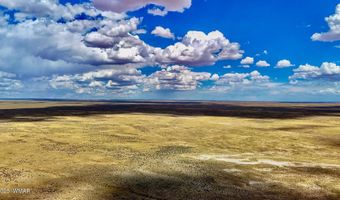 Tbd COUNTY ROAD N7012 40 ACRES, Chambers, AZ 86502