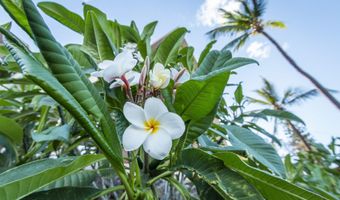 938 S Kihei Rd 301, Kihei, HI 96753