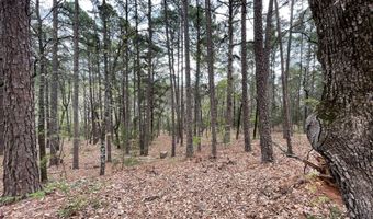 175626 Boulder Rd, Antlers, OK 74523