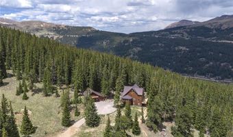 62 Lazy Rex Rd, Alma, CO 80440