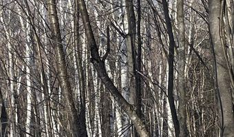 Old Franconia Road, Bethlehem, NH 03574